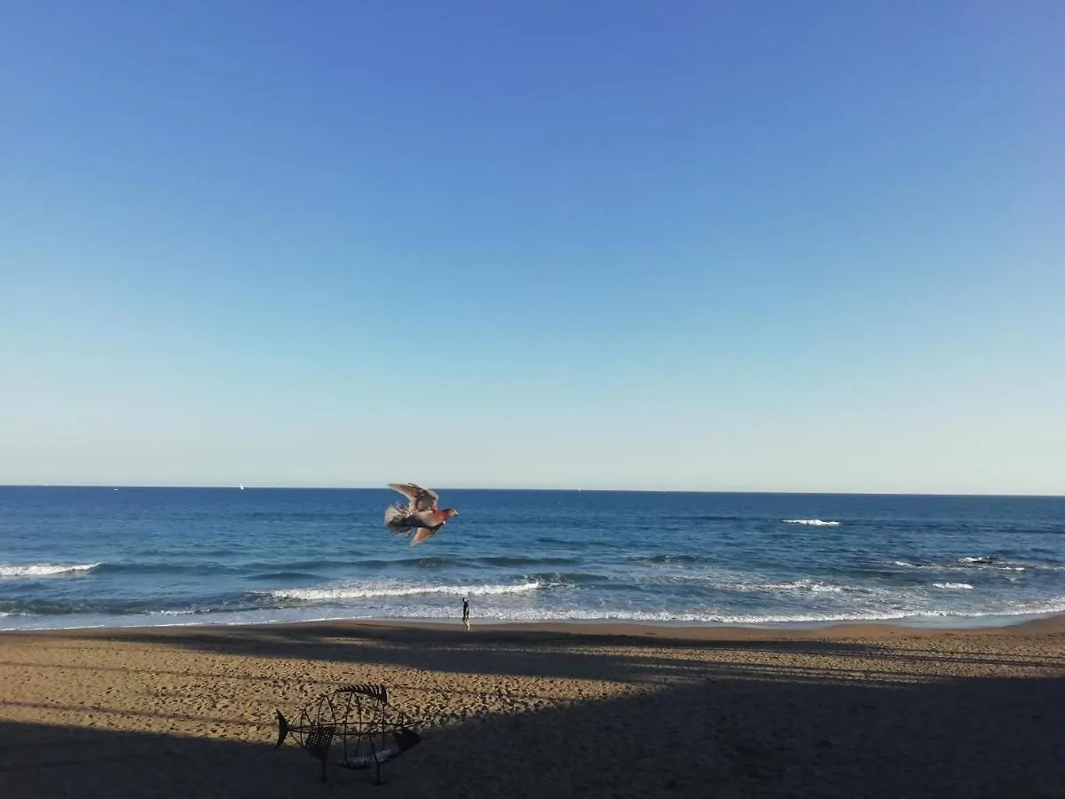 Apartamento-Estudio Benalmadena Maite-3